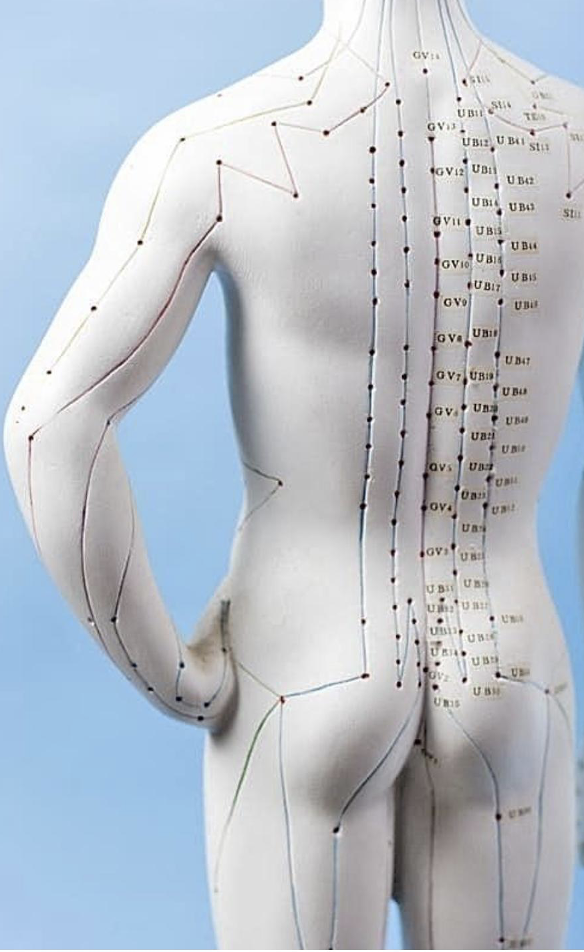 Massage des méridiens